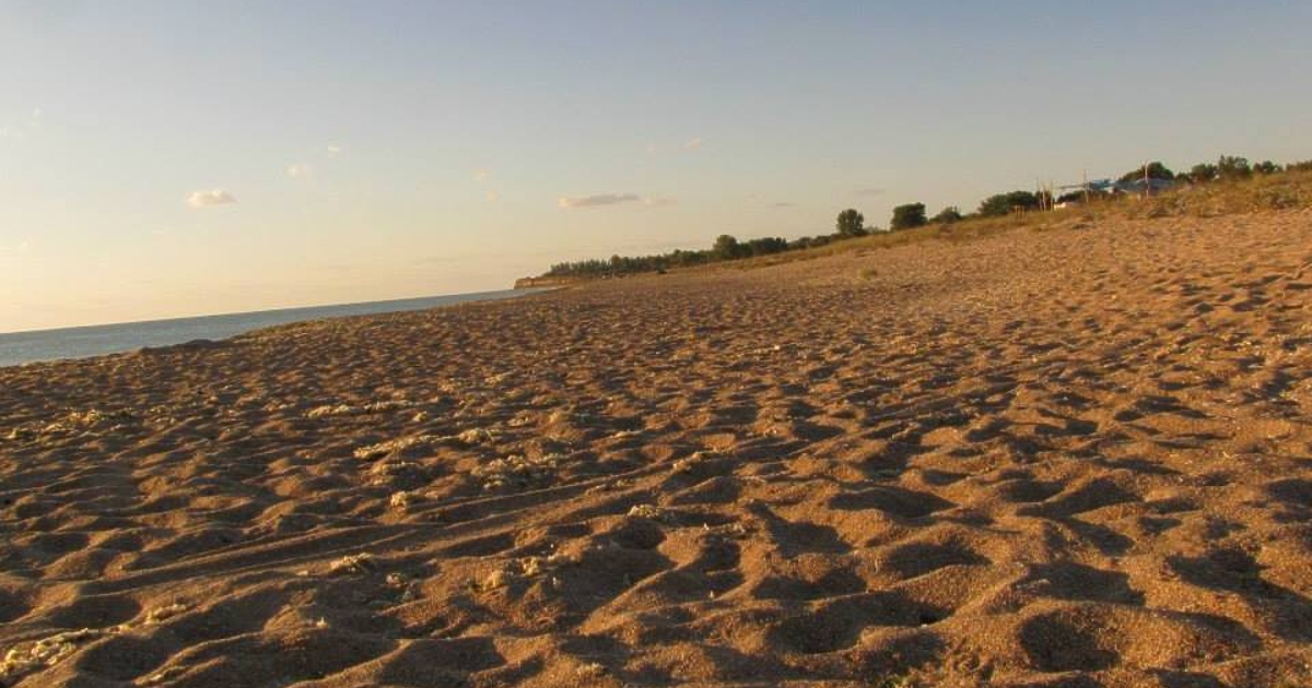 22 плажа в България са отличени с т. нар. Син