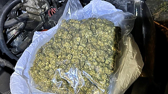 Прокурорско-полицейското звено разкри близо половин тон марихуана и 18 кг. кокаин за месец