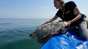 В Адриатическо море се е образувала морска слуз на много