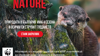 По случай Часа на Земята WWF стартира кампания за опазването на влажните зони у нас