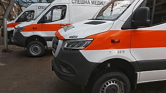 Нашествие на дървеници в Центъра за спешна помощ във Видин