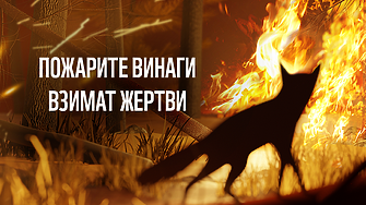 Над 90% от горските пожари у нас са резултат от човешка намеса, сочи анализ на WWF