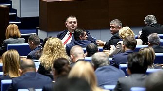 Пеевски за бюджета: Всичко, което сме поискали за хората, е там. ПП-ДБ: Прасе-касичка