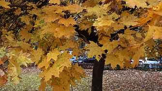Времето продължава да е слънчево. 23 градуса максимална температура
