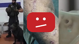 Над 700 видеа с доказателства за военни престъпления на Израел са изтрити от YouTube 