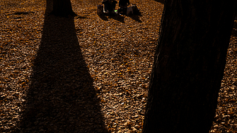 Събудихме се с минусови температури - очаква се повече слънце днес