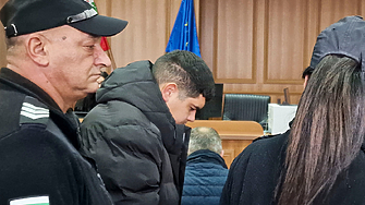 На 24 г.: шофьорът на камион, убил семейство, има 10 акта и 20 фиша