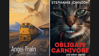 AI на корицата: две книги отпаднаха от най-престижната литературна награда в Нова Зеландия