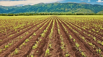 Европрокуратурата разкри измами със земеделски субсидии у нас