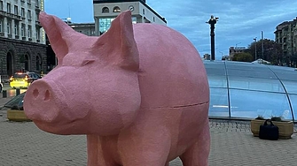 Асен Василев е виновен. Но ние сме "сладкиши" като него