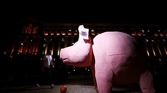 Пред зурлата на прасето - протест в подкрепа на Коцев и Барбутов затвори "триъгълника на властта"