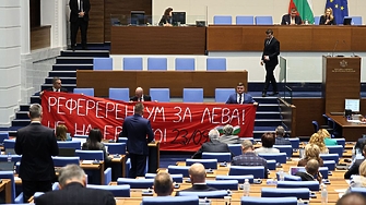 НС отхвърли президентския референдум за еврото