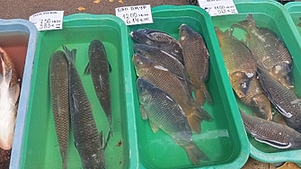 Изчислиха: между 30 и 50 лв. за рибен деликатес по Никулден