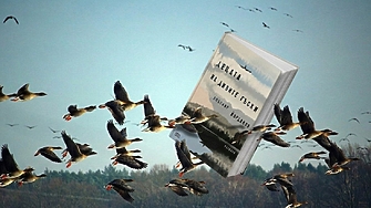 Смешнотъжният заник на Северозапада, изпод перото на един весел майстор (ОТКЪС)