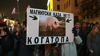 Третият протест: "Оставка! Вън Пеевски и Борисов от властта" (ВИДЕО + СНИМКИ)