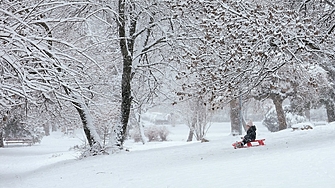 Първата половина на януари ще е със зимни условия