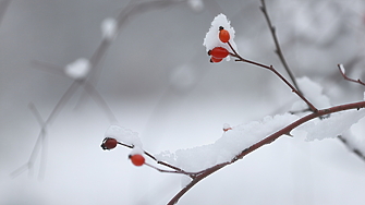 Днес е най-късият ден в годината, започва астрономическата зима