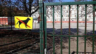 Сметната палата погва училища за бонуси. Да се готвят София, Варна, КАТ...