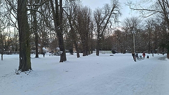 Сняг и студ в Германия, Фридрих Мерц отменя срещи