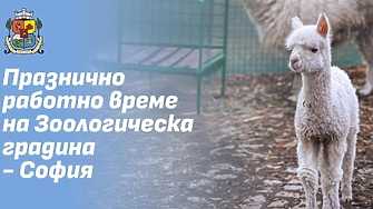 Столичният зоопарк няма да работи от днес до 4 януари