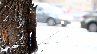 Докога ще продължат ледените дни – прогнозата