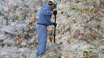 Нанопластмасите увреждат бъбреците