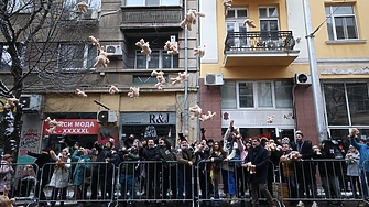 Плюшени зайчета полетяха към ВСС. Протест поиска "СарафOFF вън"