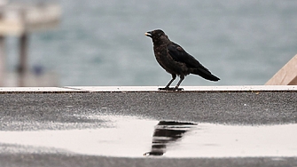 Дъжд и сняг през почивните дни