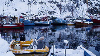 "Успех с тези два стари кораба." Тръмп иска Гренландия, но няма ледоразбивачи