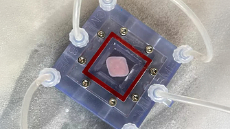 Учени в САЩ отпечатаха човешка чернодробна тъкан - пробив с потенциал да спасява животи