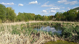 Столична община спира строежа край Боянското блато