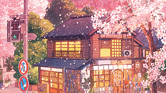 Добре дошли в "Сакура" - магическо убежище, което се появява само с цъфтежа на вишните