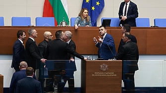 Всички в парламента са "отвратени", но се замерват отвратително със случая "Петрохан"