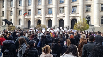 "Имитатори": и 53-годишна двойка от свищовско село измъчва животни и снима