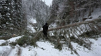 Опасност от лавини в планините