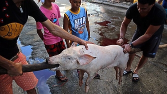 В Куба вече има сериозни проблеми с храната  и лекарствата