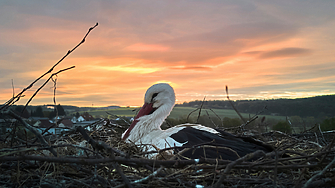 По-ниски температури и дъжд на места в сряда