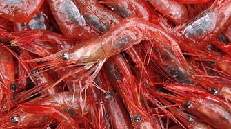 Риба като бургер. Морски дарове "под прикритие" пробиват на пазара в САЩ