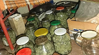 Двама дилъри  в "Студентски град" държат в наличност над 39 кг "трева"