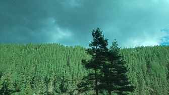 Велика събота ще е дъждовна