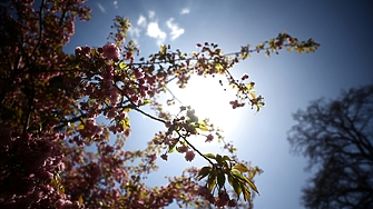 Облачността намалява - слънце се подава