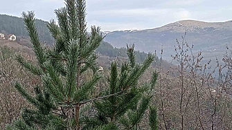 До 21° и предимно слънчево днес, облаци и дъжд в южните райони