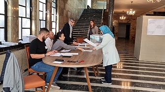 Няма 48 подписа: АПС не успя да сезира КС за орязването на секциите в чужбина