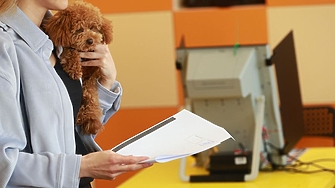 ДЕНЯТ В НЯКОЛКО РЕДА: Румен Радев съвсем близо до самостоятелно мнозинство