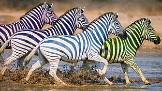 13:00 ч.: отново няма промяна във временното класиране