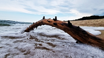 Морската вода в Европа - рекордно топла 